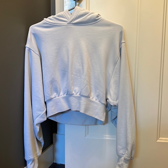 Aritzia Tops - Aritzia Tna cropped hoodie